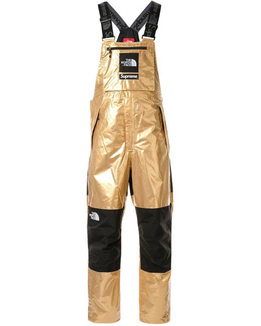 Supreme Metallic The North Face X Dungarees for men
