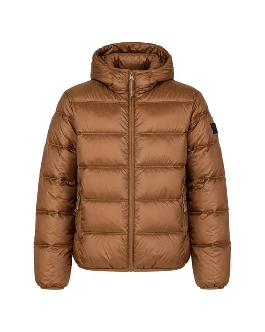 Tommy Hilfiger Brown Quilted Padded Jacket for men