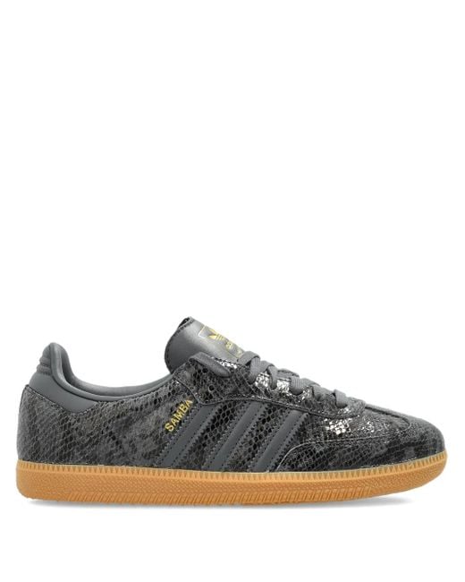 Adidas Gray Samba Sneakers aus Schlangenleder