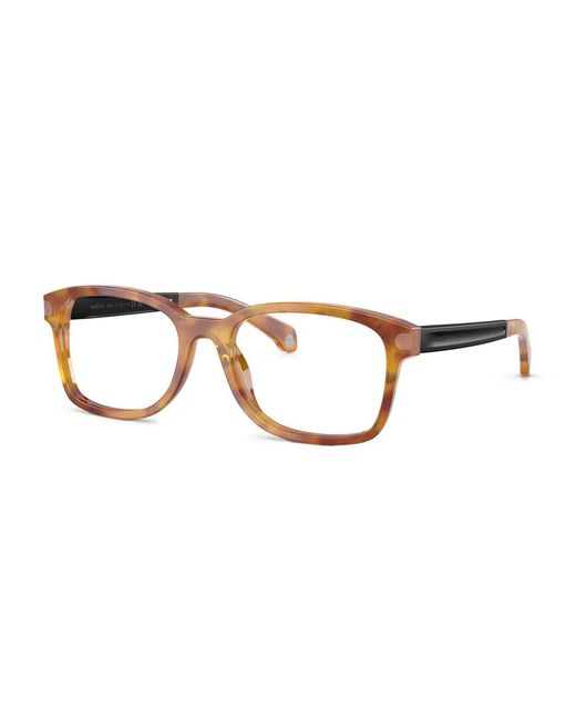 Moncler Brown Tortoiseshell Square Glasses