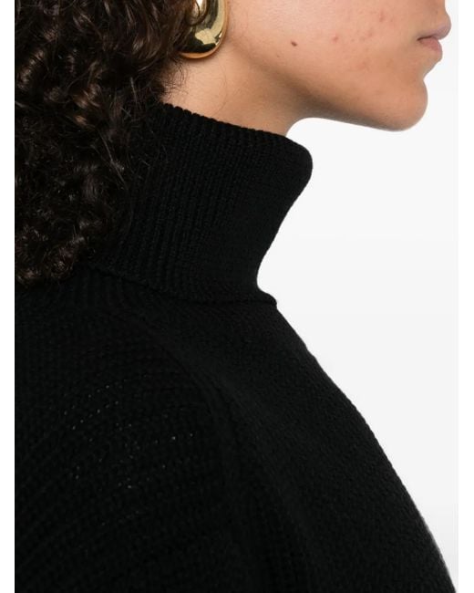 P.A.R.O.S.H. Black Lady Blum Roll-Neck Wool Sweater