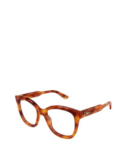 Chloé Brown Cat-Eye Glasses