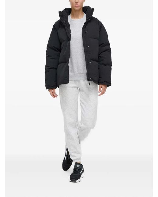 Adidas Black Quilted Puffer Jacket