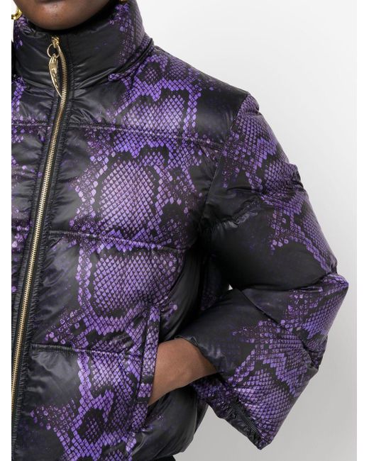 Roberto Cavalli Multicolor Snake-print Padded Jacket