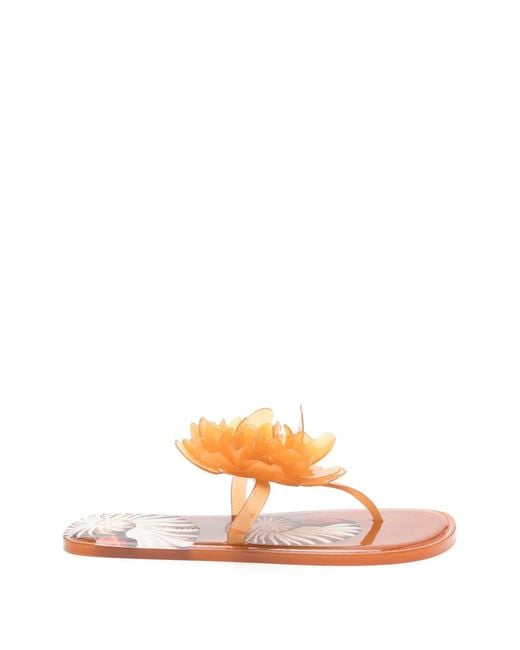 Farm Rio Pink Flower Flip Flops