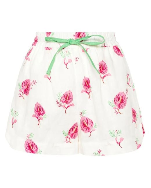 Aston Studio Pink Harvey Shorts