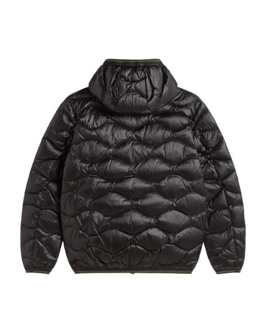 Blauer Black Quilted Hooded Jacket for men