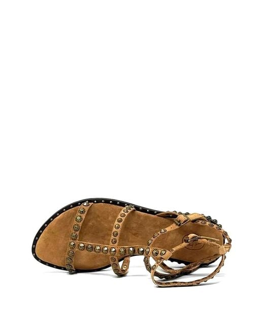 Ash Brown Precious Stud-Embellished Sandals