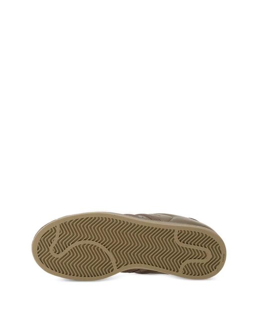 Adidas Brown Superstar Ii Sneakers