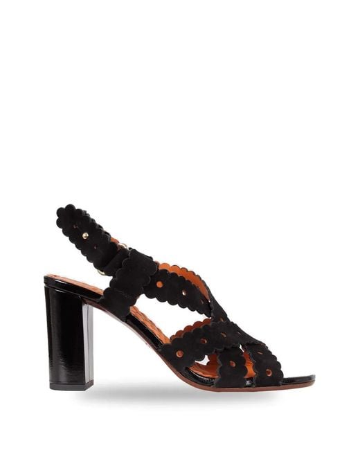 Chie Mihara Black Biby Scalloped Ballet Flats