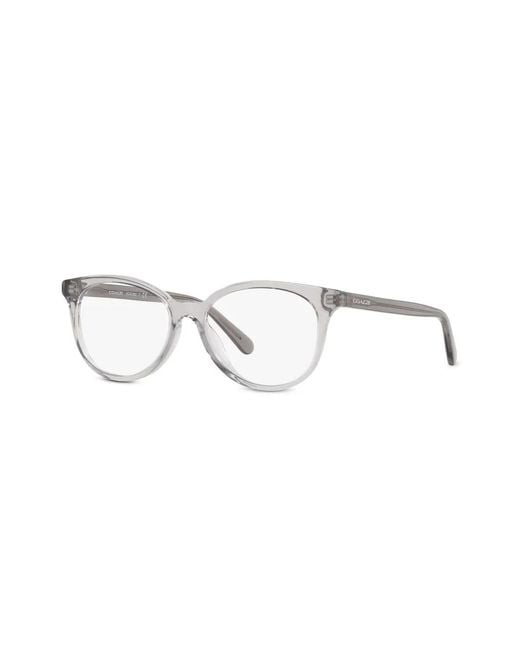 COACH Gray Cat-Eye Glasses