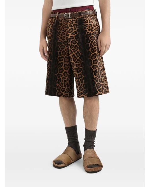 Pantalones con estampado de leopardo Dolce & Gabbana de hombre de color Brown