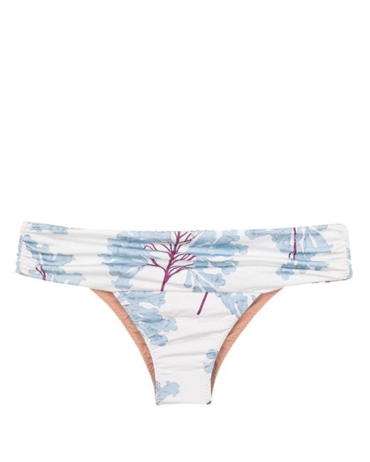 Clube Bossa Blue Percy Floral-print Bikini Bottoms