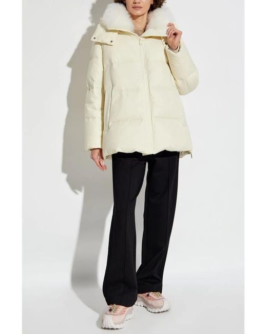 Yves Salomon Natural Down Jackets