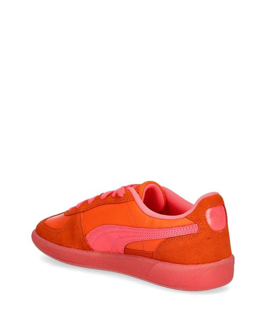 PUMA Red Baskets Citrus
