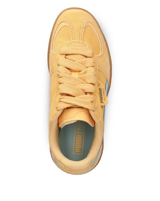 Baskets Palermo PUMA en coloris Orange
