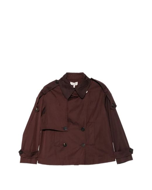 Psophia Brown Double-Breasted Cropped Coat (Set Of Two)