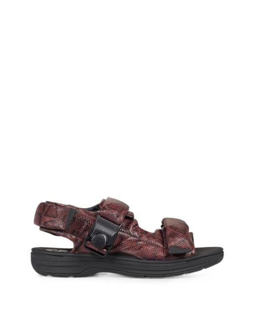 Clarks Brown Snake-Effect Padded Sandals for men