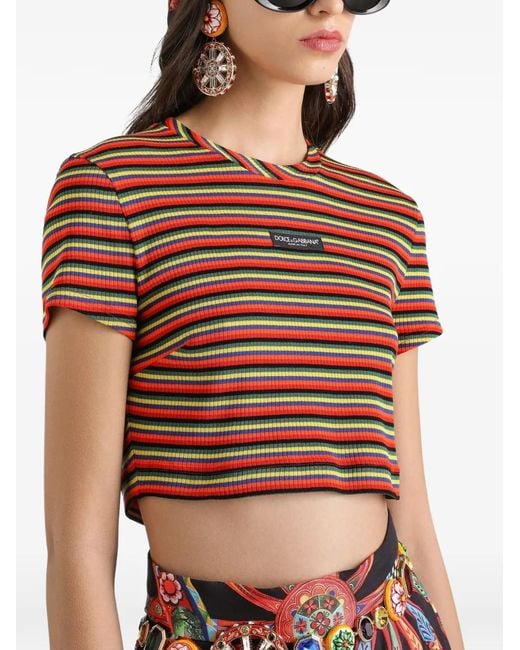 Dolce & Gabbana Brown Striped Jersey T-Shirt