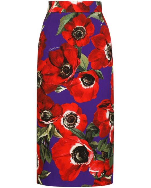 Dolce & Gabbana Kokerrok Met Bloemenprint in het Red