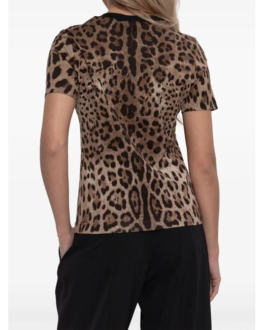 Dolce & Gabbana Brown Leopard-Print T-Shirt