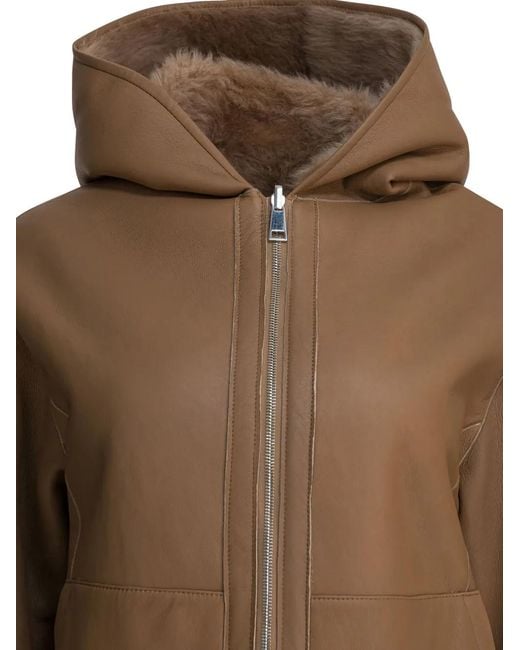 FURLING BY GIANI Brown Hooded Zip Jacket