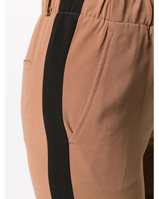 Blanca Vita Broek Met Zijstreep in het Brown