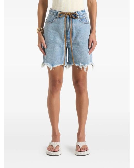 Manière De Voir Blue Beau