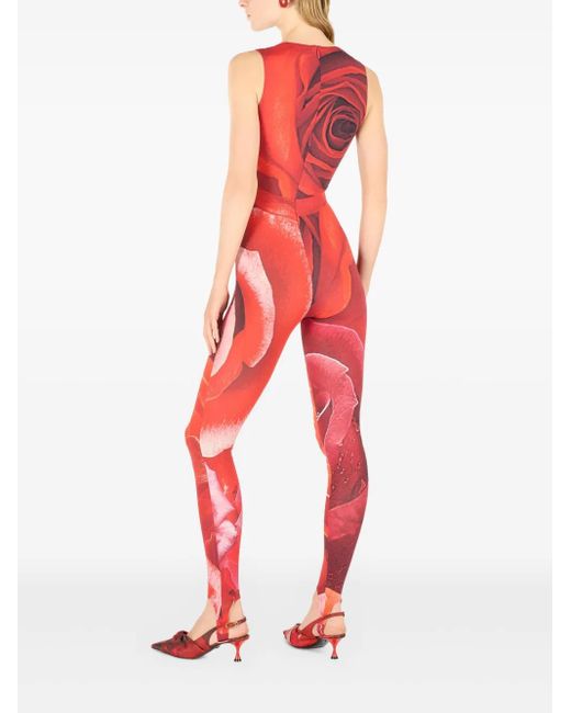 Roberto Cavalli Red Rose-Print Jumpsuit