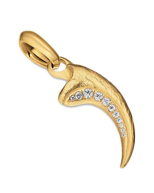 David Yurman Metallic Raptor Claw Amulet for men