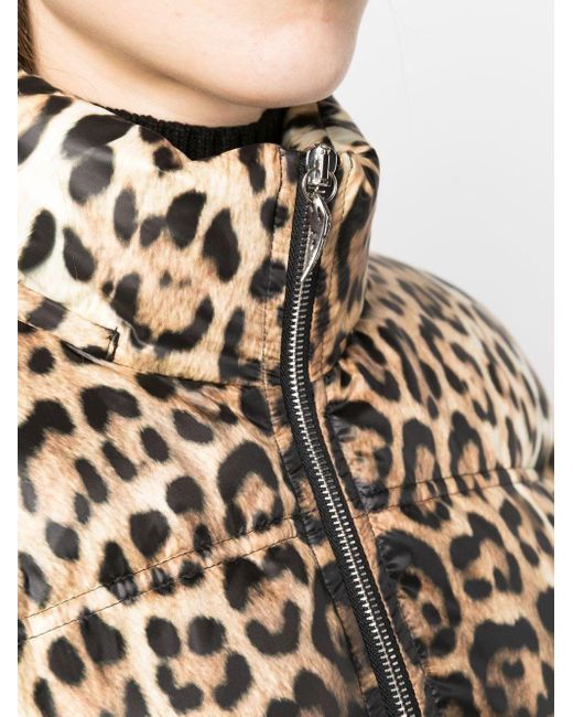 Plumífero con estampado de leopardo de Roberto Cavalli de color Negro | Lyst