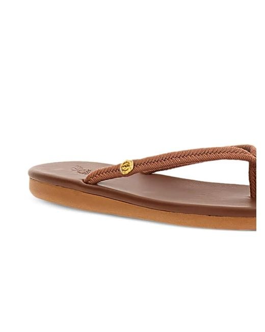 Ancient Greek Sandals Brown Braided-Strap Sandals