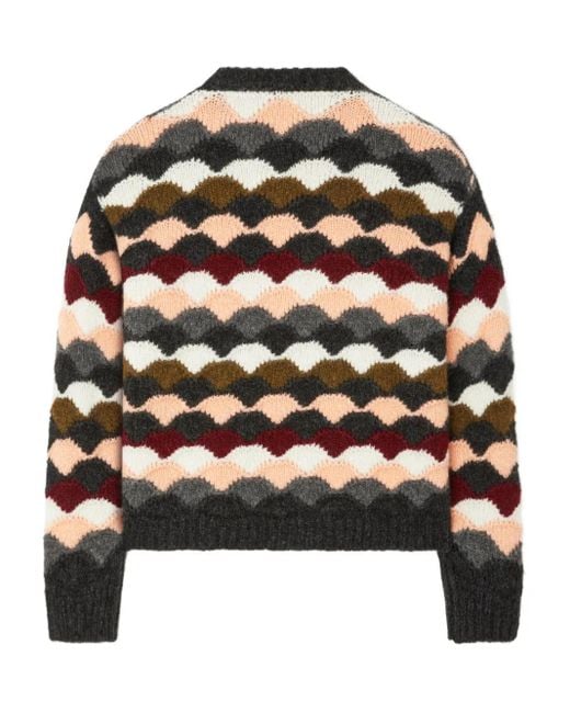 Alanui Sweater Met Strepen in het Black