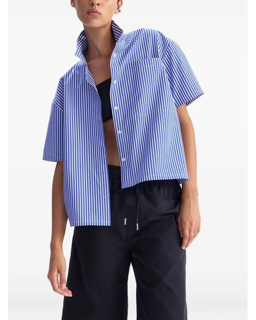 Arlo Mott Blue Clark Split-Back Shirt