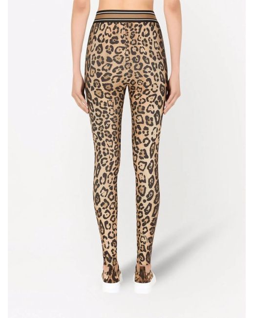Dolce & Gabbana Natural Leopard-Print Jersey Leggings