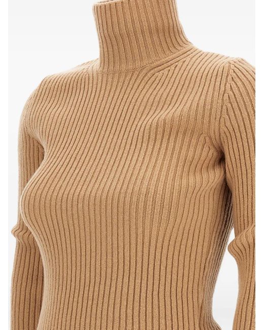 Max Mara Brown Sweaters