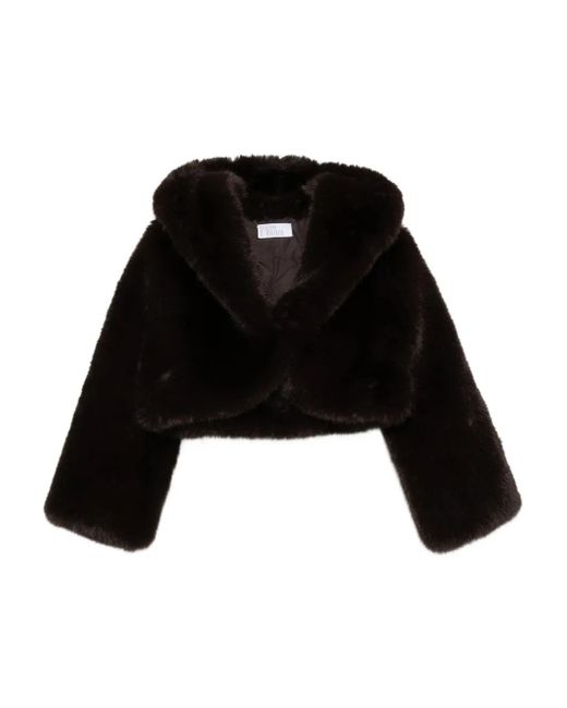 GIUSEPPE DI MORABITO Black Hooded Cropped Jacket