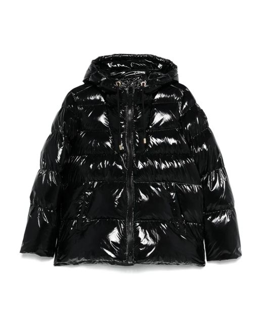 Pinko フーデッド パデッドジャケット Black