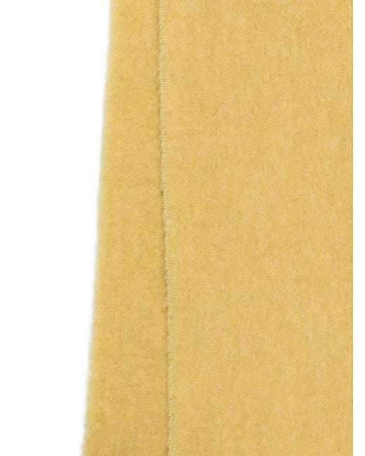 AMI Yellow Scarfs