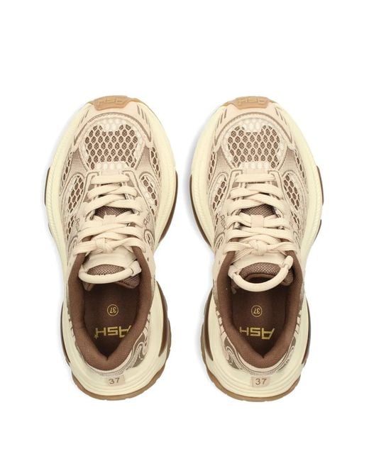 Ash Brown Dragon Chunky Sneakers