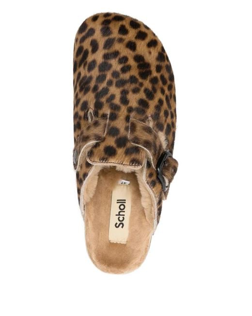 Scholl Brown Mules Yena Fae À Imprimé Léopard