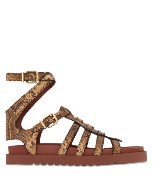 Zimmermann Brown Goldie Gladiator Buckle Sandals
