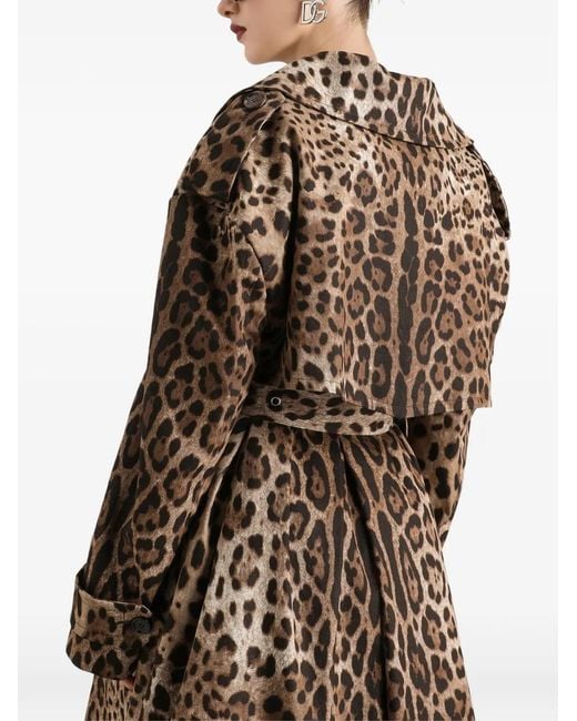 Dolce & Gabbana Multicolor Manteau De Perçage En Coton Imprimé Leo À Double Boutonnage