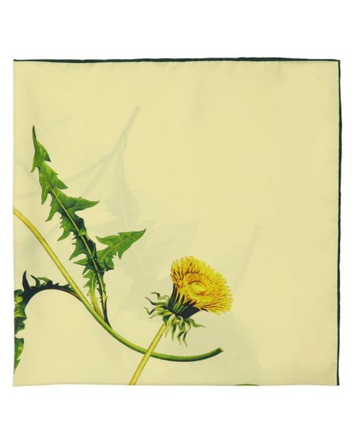 Burberry Yellow Dandelion Floral-print Scarf