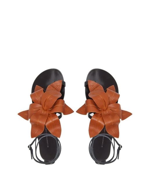 Giuseppe Zanotti Brown Lilium Flat Sandals