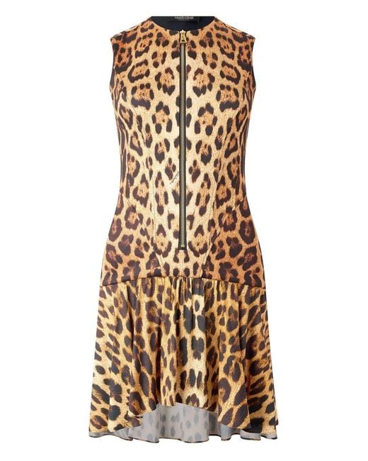 Roberto Cavalli Natural Leopard-Print Zip-Front Minidress