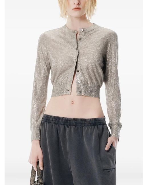Cardigan Con Decorazione di Alexander Wang in Gray