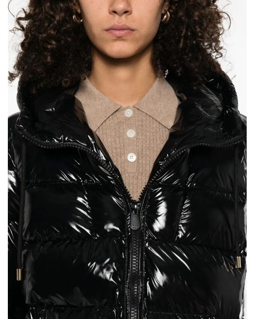 Pinko フーデッド パデッドジャケット Black