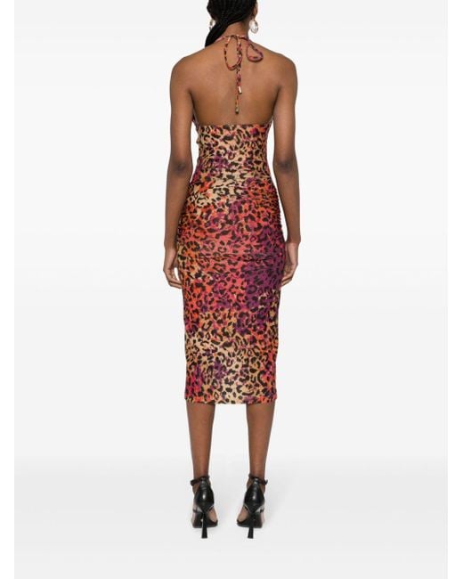 Just Cavalli Red Leopard-print Ruched Midi Dress