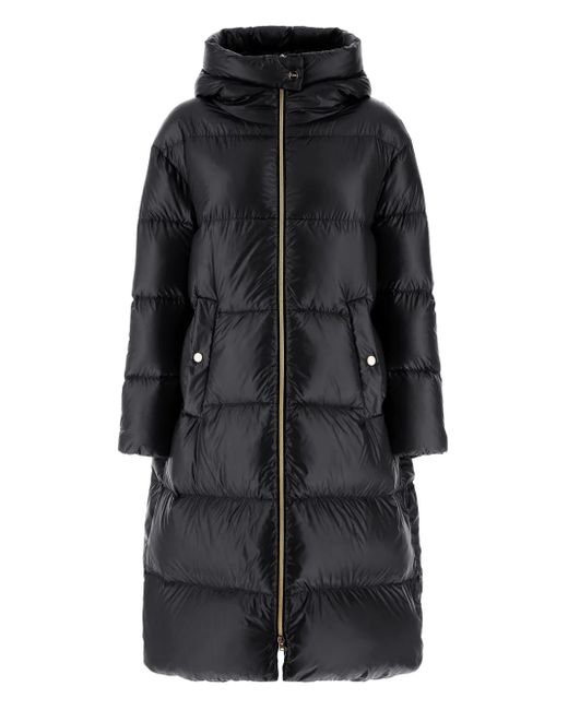 Herno Padded Hooded Jacket Black